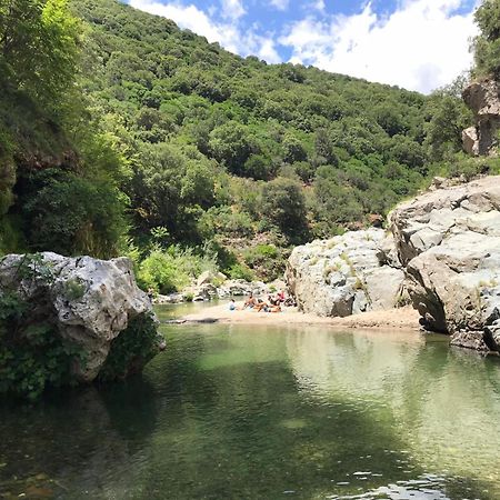 New! La Ginestra,Casa Vacanze Bifamiliare In Montagna-Seulo Sardegna Exterior photo