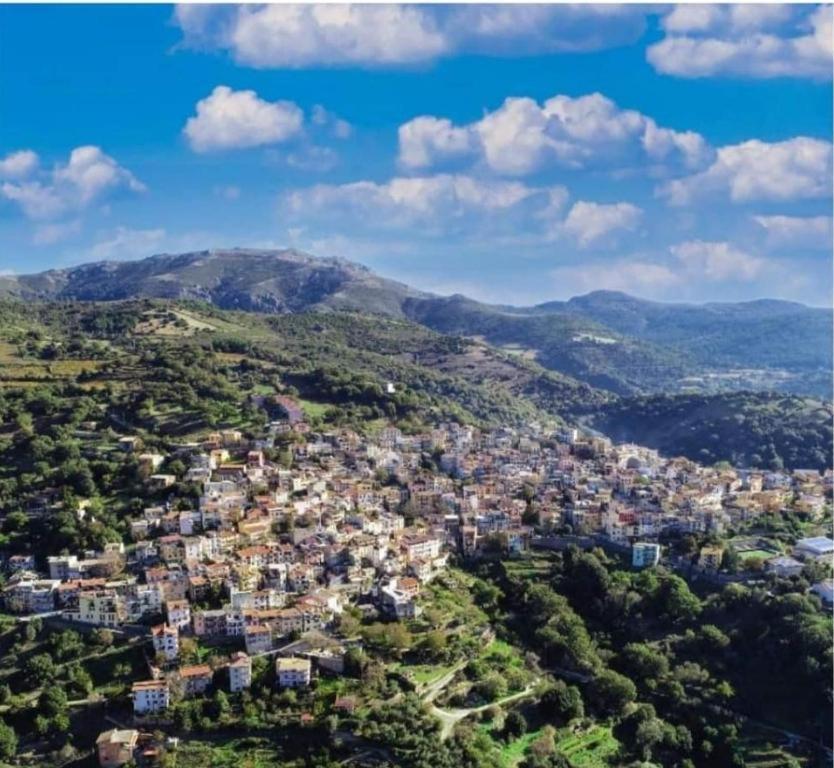 New! La Ginestra,Casa Vacanze Bifamiliare In Montagna-Seulo Sardegna Exterior photo