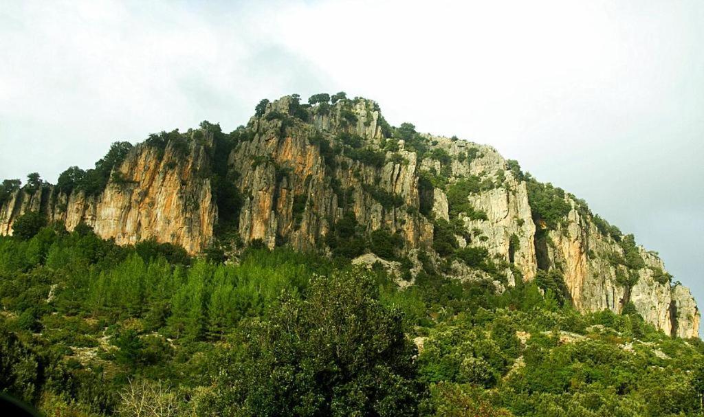 New! La Ginestra,Casa Vacanze Bifamiliare In Montagna-Seulo Sardegna Exterior photo