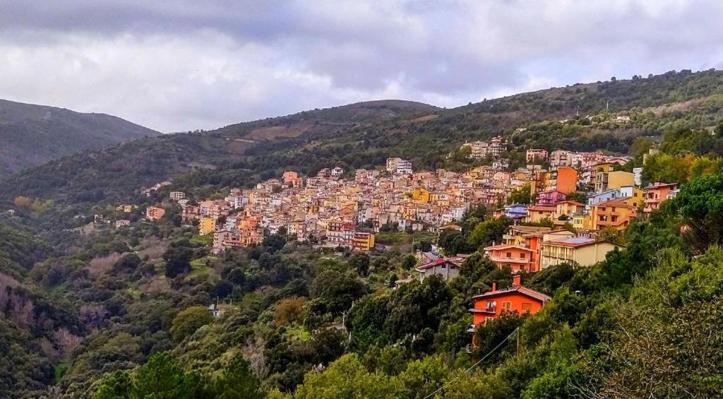 New! La Ginestra,Casa Vacanze Bifamiliare In Montagna-Seulo Sardegna Exterior photo